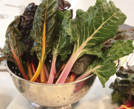 swiss-chard-recipe-2
