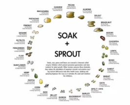 soaking chart nuts seeds grains