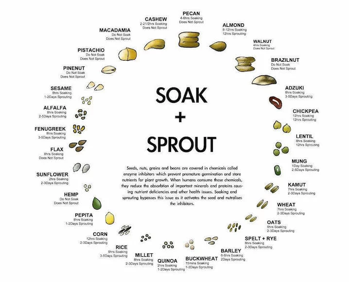 soaking chart nuts seeds grains