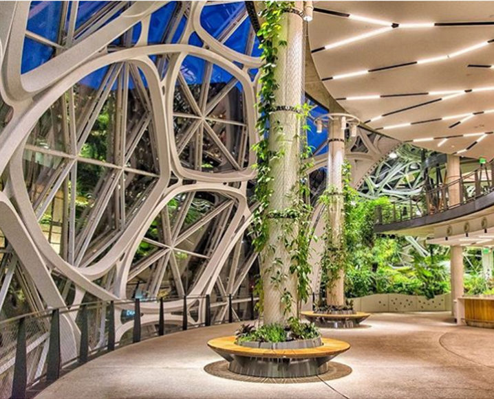 Amazon S New Seattle Hq Is Literally A Rain Forest
