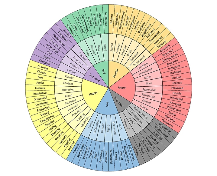 Mood Feelings Chart