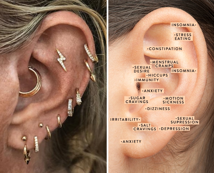 Ear piercing chart