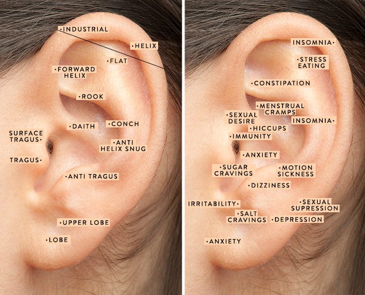 Ear Piercing Chart For Anxiety