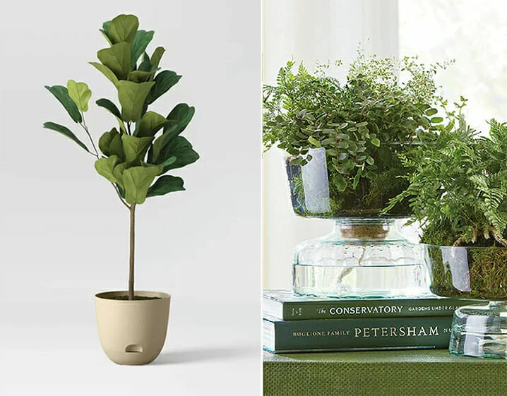 best self watering planters