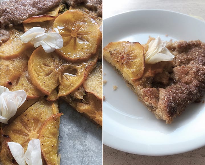 persimmon galette recipe birdhouse