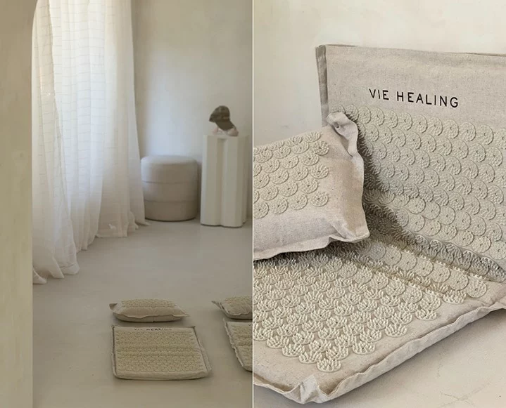 mona dan chinese medicine youth preserve