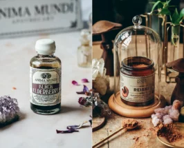 An Herbalist’s Guide to Combatting Spring Allergies Naturally