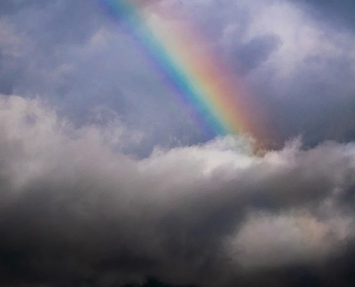 5 Transformative Lessons from Brené Brown’s Atlas of the Heart