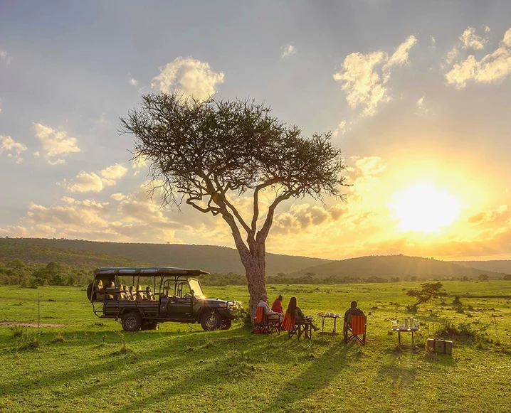 Why Sophie Jaffe’s 2026 Safari Retreat Needs to Be on Your Bucket List