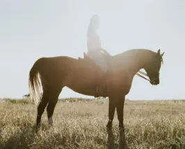 A Ritual Guide for the Year of the Fire Horse