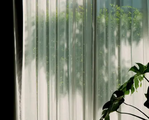 The Low Lift Guide to Living More Sustainably