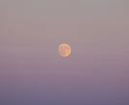 Full Moon in Scorpio: What Each Sign Needs to Let Go Of Right Now