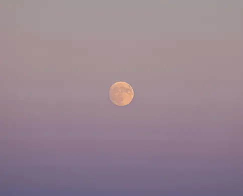 Full Moon in Scorpio: What Each Sign Needs to Let Go Of Right Now