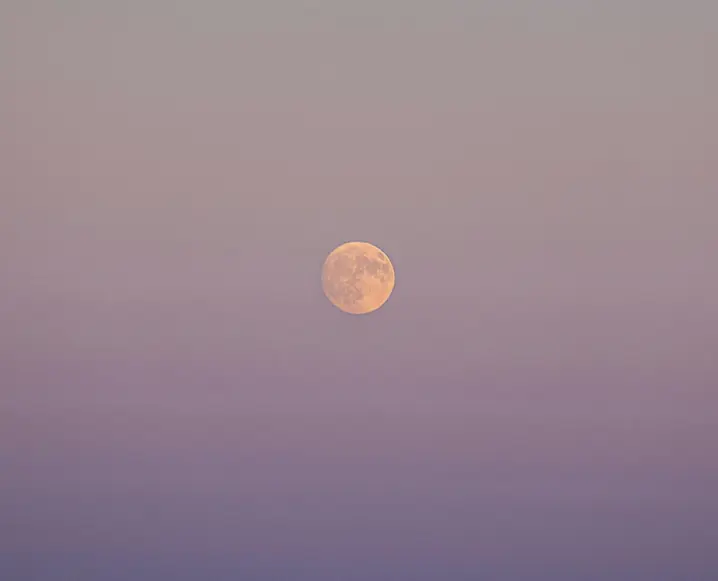Full Moon in Scorpio: What Each Sign Needs to Let Go Of Right Now
