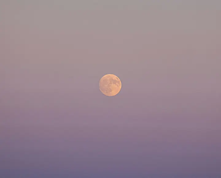 Full Moon in Scorpio: What Each Sign Needs to Let Go Of Right Now