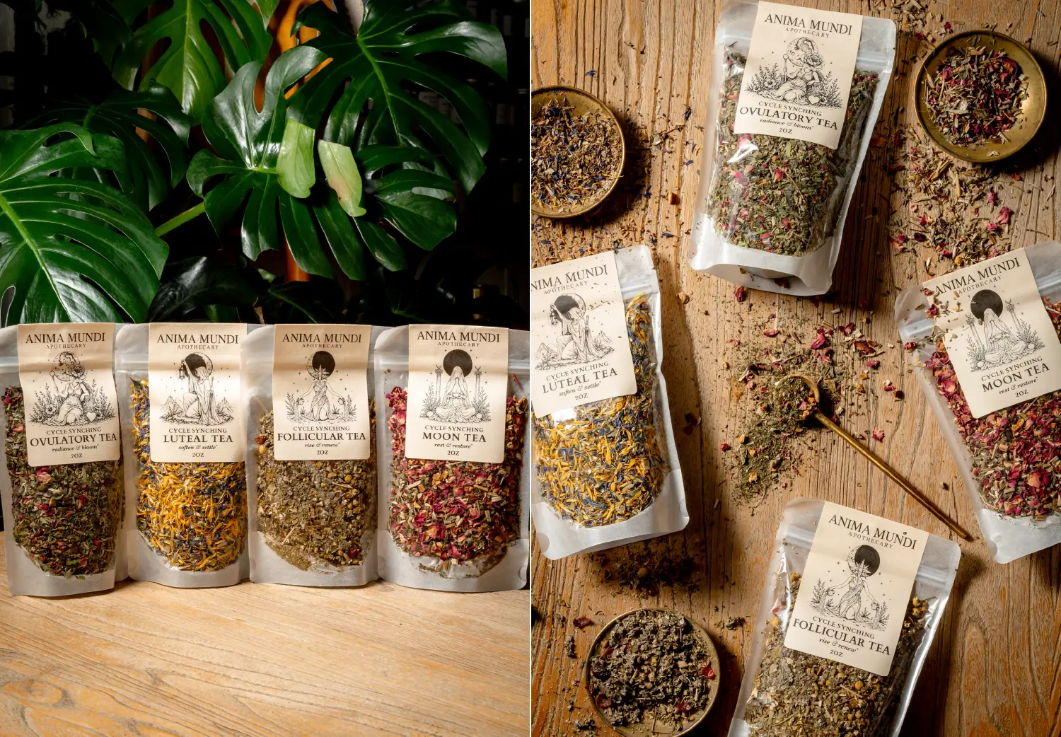 Anima Mundi Menstrual Cycle Tea Kit with four herbal blends for cycle syncing