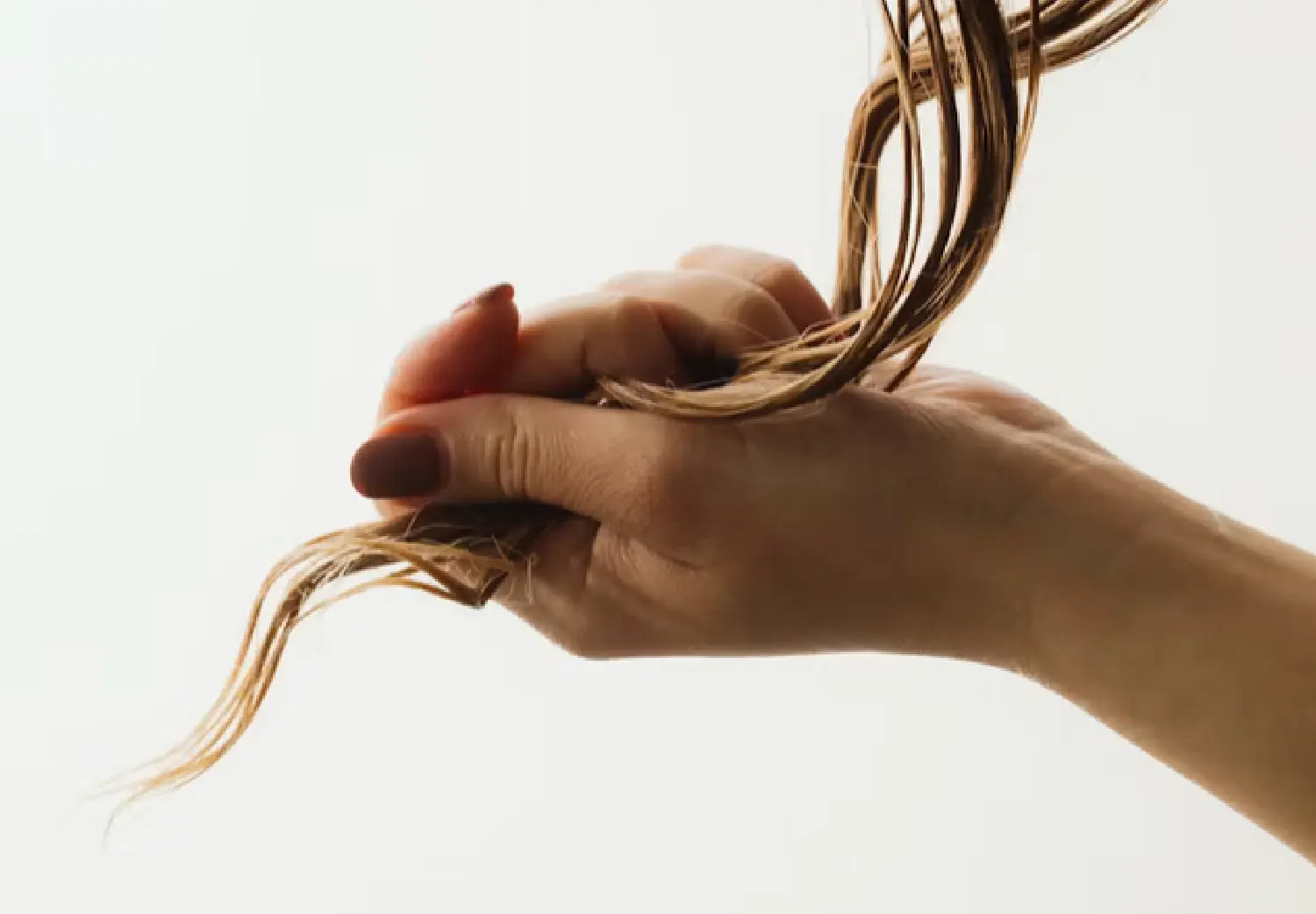 What Does Bond Repair Actually Do to Your Hair? A Molecular Biologist Breaks Down the Science
