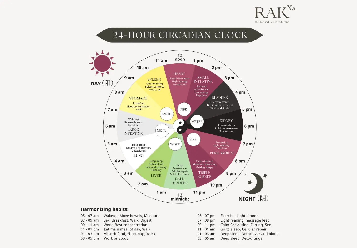 Traditional Chinese Medicine 24-hour body clock showing organ meridians and associated times